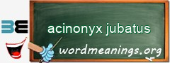 WordMeaning blackboard for acinonyx jubatus
